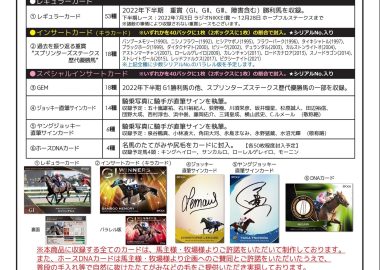 ホースレーシングカード2017Vol.2 DNAカード ローレルゲレイロ その他